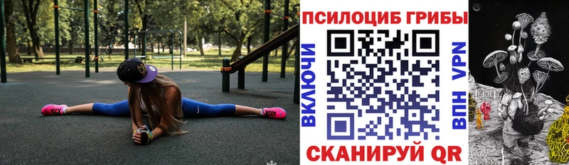 Галлюциногенные грибы прущие грибы  дарнет шоп  Гатчина 