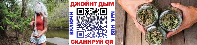 Конопля гибрид  наркошоп  Гатчина 